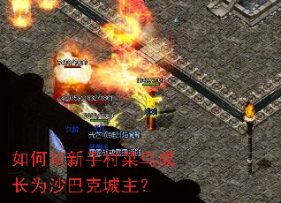 ��δ����ִ����ɳ�Ϊɳ�Ϳ˳�����