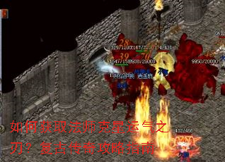 ��λ�ȡ��ʦ��������֮�У����Ŵ��湥��ָ��