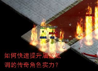 ��ο������������͵��Ĵ����ɫʵ����