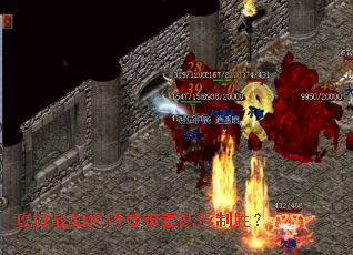 ����ս�������ö�����ʤ��