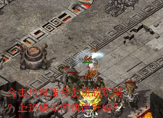 �ϻ������ʺ��ϰ��������ϰ�����ο���������