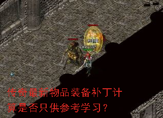 ����������Ʒװ�����������Ƿ�ֻ���ο�ѧϰ��