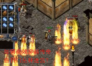 ��θ�Ч��Խ��������Ŵ����Թ���