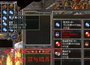 ������ӥ���ǹ���������λ�ȡ��������