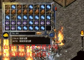 ������ӥ���ǹ���������λ�ȡ��������