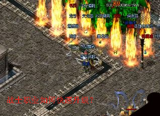 սʿְҵ��ο���������