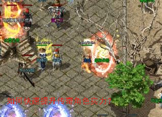 ��ο������������ɫʵ����