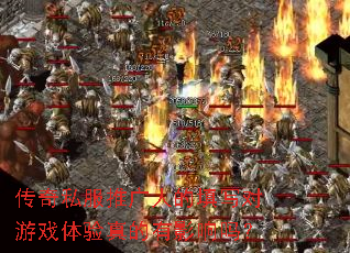 ����˽���ƹ��˵���д����Ϸ���������Ӱ����