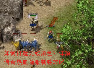 ��δ����޵н�ɫ����⴫����Ѫ�����ʤ����