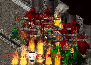 �����������ο�������ս����