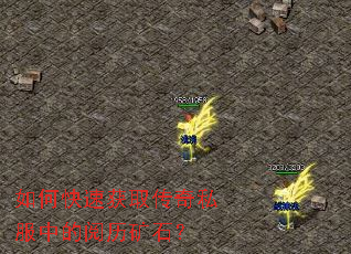 ��ο��ٻ�ȡ����˽���е�������ʯ��