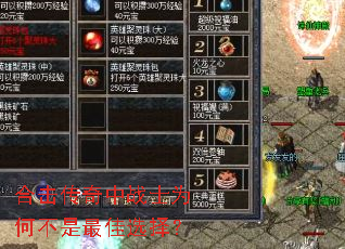 �ϻ�������սʿΪ�β������ѡ��