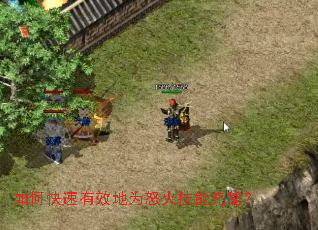 ��ο�����Ч��Ϊŭ���ܳ��ܣ�