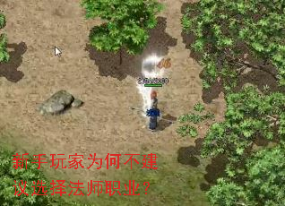 �������Ϊ�β�����ѡ��ʦְҵ��