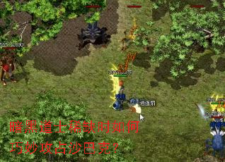 暗黑道士稀缺时如何巧妙攻占沙巴克? 暗黑道士稀缺时如何巧妙攻占沙巴克?