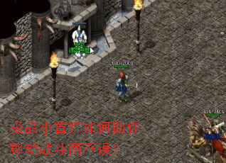 ��ƷС������������ƶ�ս��������