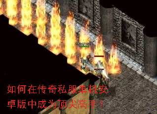 ����ڴ���˽��������׿���г�Ϊ������֣�