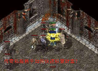 ����˽��������ο��ٻ��۲Ƹ���