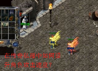 �ڴ���˽�������������ɫ�����ٶȣ�