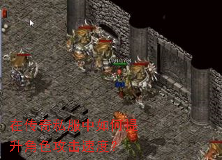 �ڴ���˽�������������ɫ�����ٶȣ�