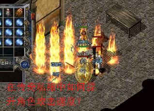 �ڴ���˽�������������ɫ�����ٶȣ�