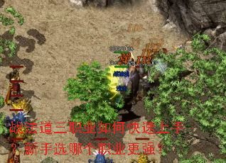 ս������ְҵ��ο������֣�����ѡ�ĸ�ְҵ��ǿ��