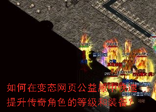 ����ڱ�̬��ҳ������п������������ɫ�ĵȼ���װ����