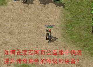 ����ڱ�̬��ҳ������п������������ɫ�ĵȼ���װ����