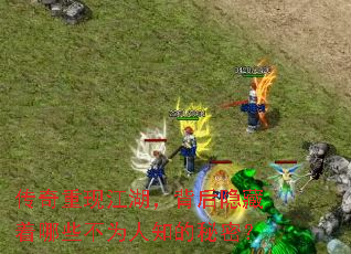 �������ֽ�����������������Щ��Ϊ��֪�����ܣ�