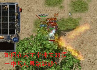 ����ڴ�������ʧ�������й滮Ѱ··�ߣ�