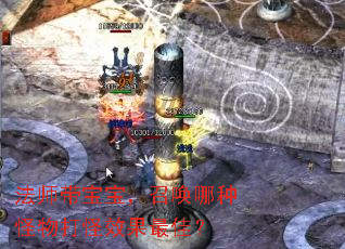 ��ʦ���������ٻ����ֹ�����Ч����ѣ�