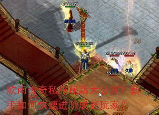 ���괫��˽���ؼ��󹫿���������ο��ٽ��׳�����ң�