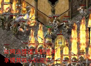 ���ѡ���ʿְҵ������������淨��