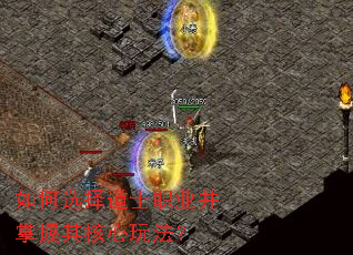 ���ѡ���ʿְҵ������������淨��