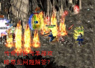 ����Ⱥ�����������Գ���������