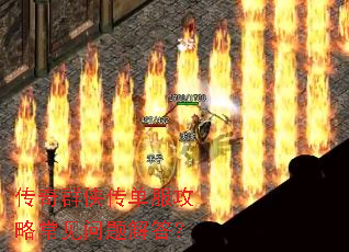 ����Ⱥ�����������Գ���������