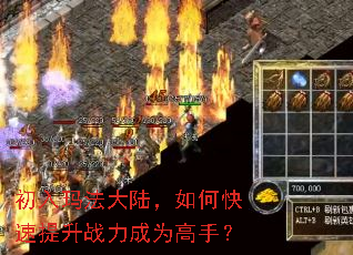 �����귨��½����ο�������ս����Ϊ���֣�