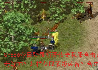 SF666���յ�¼�¿�����˽���ϻ�����ο�������ս����������ȡ����װ�����ϻ�������δ��䣿