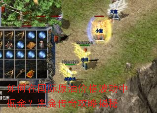 ����ڹ���ԭ�ͼ۸񲨶��о�𣿺ڽ��湥�Խ���