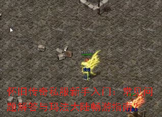 ���ɴ���˽���������ţ��������������귨��½����ָ�ϣ�