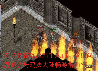 ���ɴ���˽���������ţ��������������귨��½����ָ�ϣ�