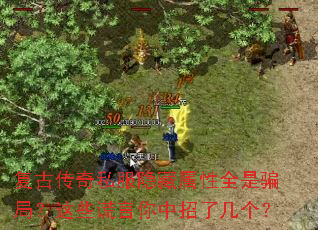 ���Ŵ���˽����������ȫ��ƭ�֣���Щ�����������˼�����