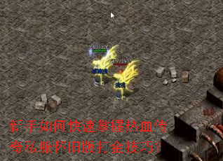 ������ο���������Ѫ����˽�����ɰ����ɣ�