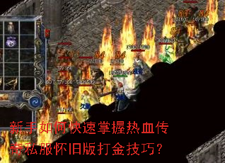 ������ο���������Ѫ����˽�����ɰ����ɣ�