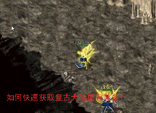 ��ο��ٻ�ȡ���Ŵ�½ϡ��װ����