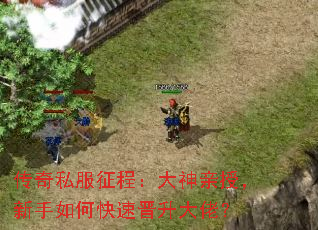 传奇私服征程:大神亲授,新手如何快速晋升大佬? 传奇私服征程:大神亲授,新手如何快速晋升大佬?