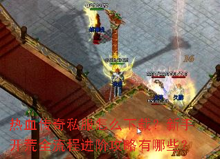 ��Ѫ����˽����ô���أ����ֿ���ȫ���̽��׹�������Щ��