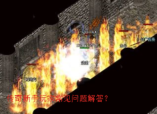 ����������ҳ���������