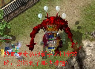 ��Ѫ����˽����������ȫ���ԣ�����������Щ���⣿