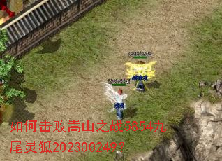 ��λ�����ɽ֮ս5854��β���202300249��